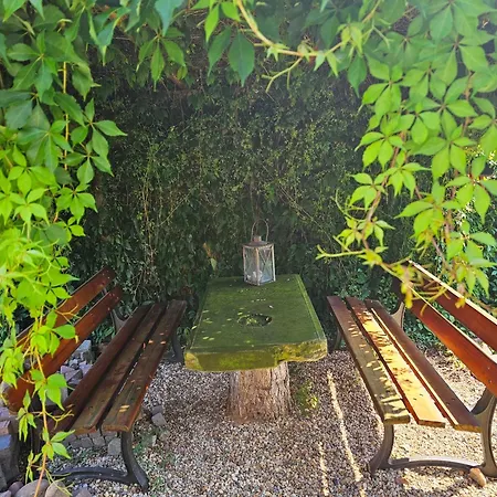 Aparthotel & Seminarhaus Wolkentor 4*